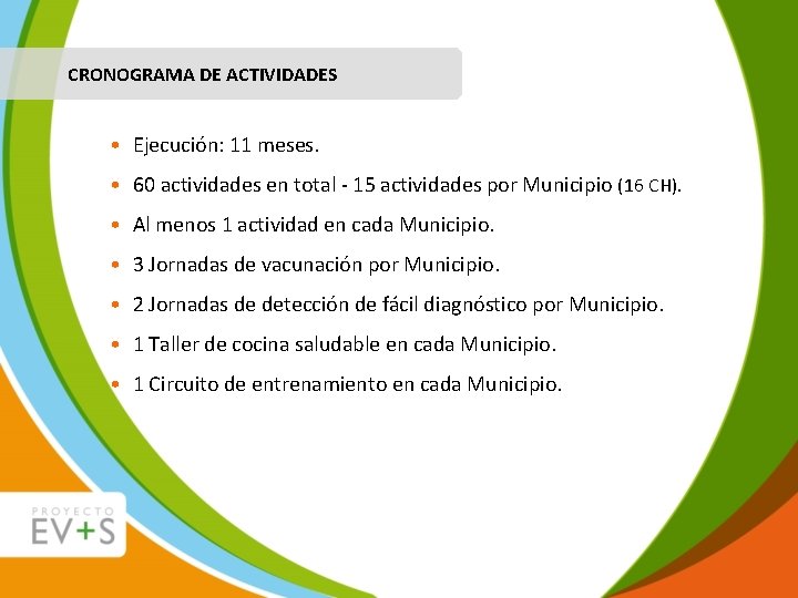 CRONOGRAMA DE ACTIVIDADES • Ejecución: 11 meses. • 60 actividades en total - 15