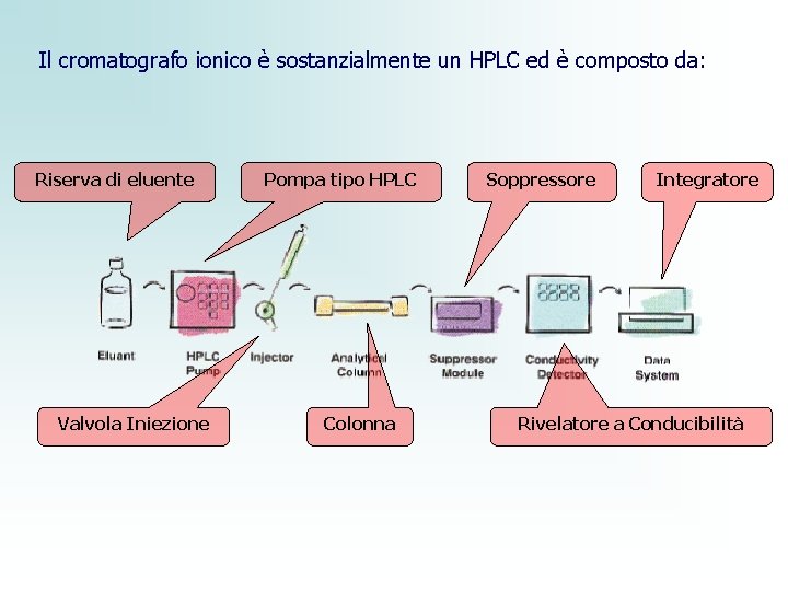 Il cromatografo ionico è sostanzialmente un HPLC ed è composto da: Riserva di eluente