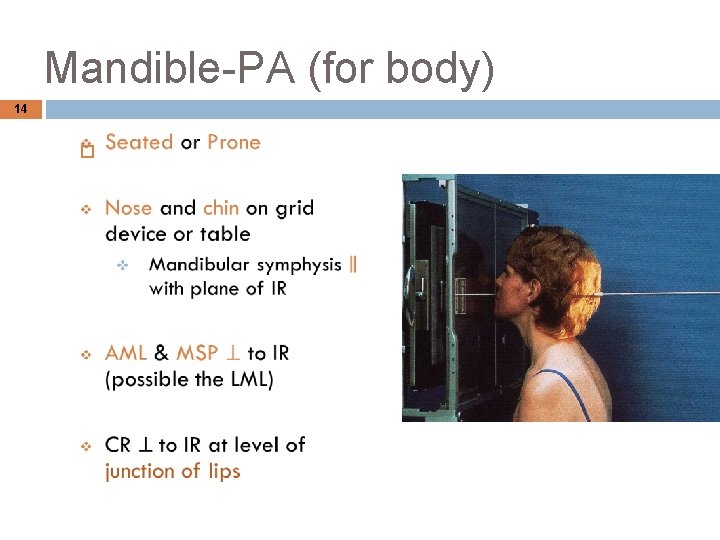 Mandible-PA (for body) 14 