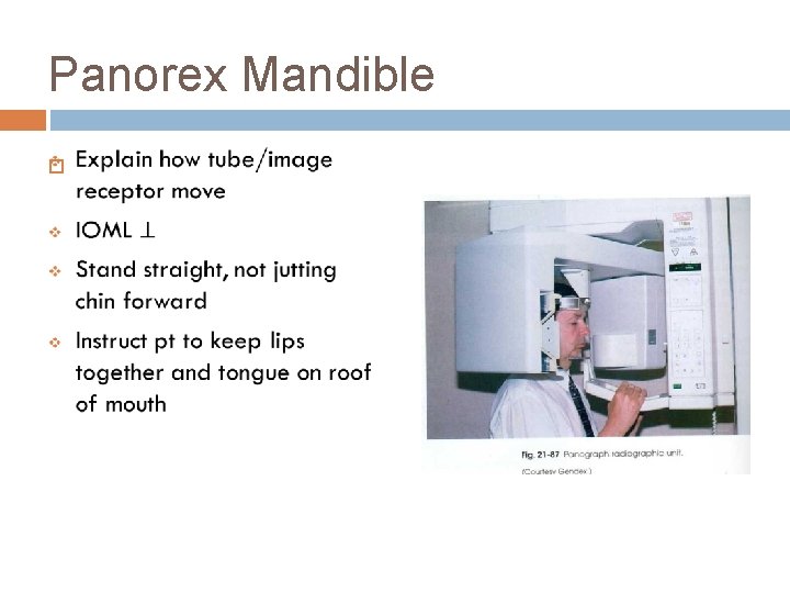 Panorex Mandible 