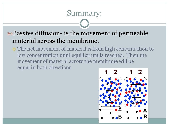 Summary: Passive diffusion- is the movement of permeable material across the membrane. The net