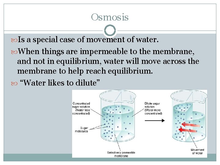 Osmosis Is a special case of movement of water. When things are impermeable to