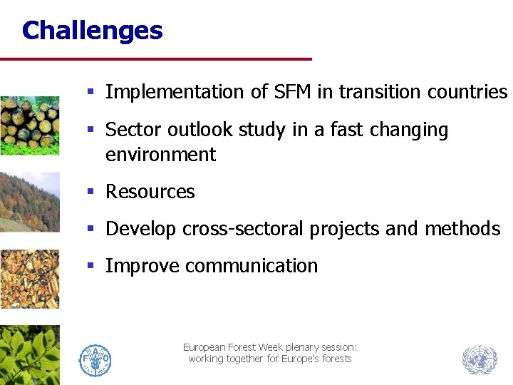 Challenges § Implementation of SFM in transition countries § Sector outlook study in a