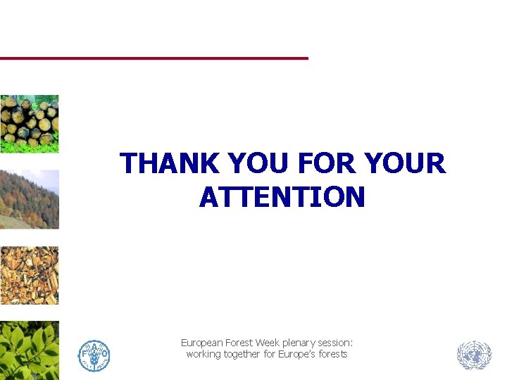 THANK YOU FOR YOUR ATTENTION European Forest Week plenary session: working together for Europe’s