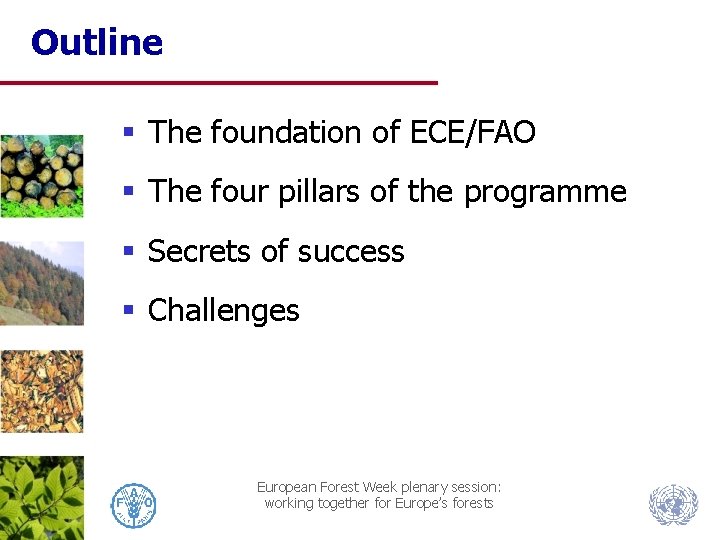Outline § The foundation of ECE/FAO § The four pillars of the programme §