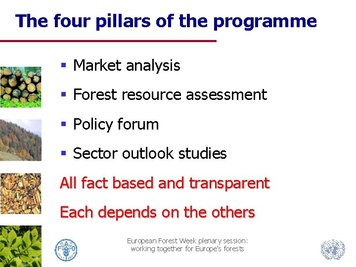 The four pillars of the programme § Market analysis § Forest resource assessment §