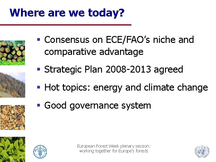 Where are we today? § Consensus on ECE/FAO’s niche and comparative advantage § Strategic