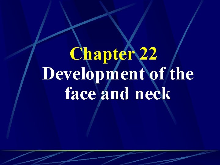 Chapter 22 Development of the face and neck 