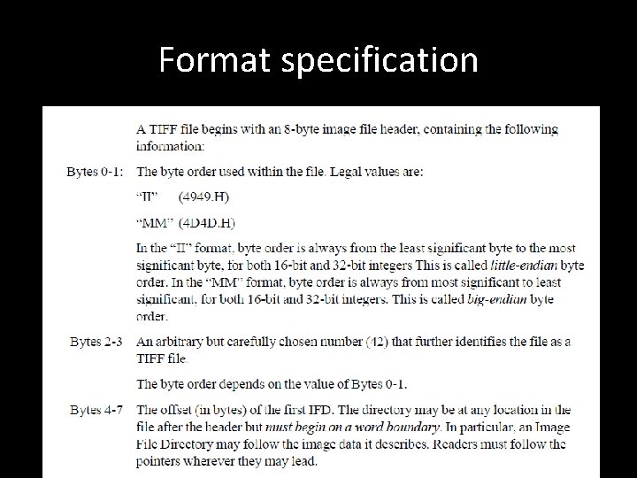 Format specification 