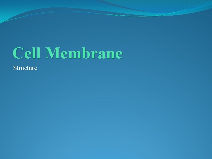 Cell Membrane Structure 