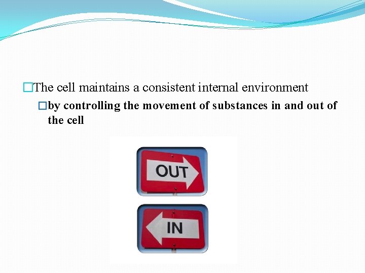 �The cell maintains a consistent internal environment �by controlling the movement of substances in