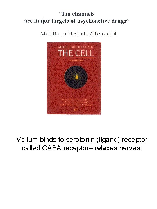 Valium binds to serotonin (ligand) receptor called GABA receptor– relaxes nerves. 