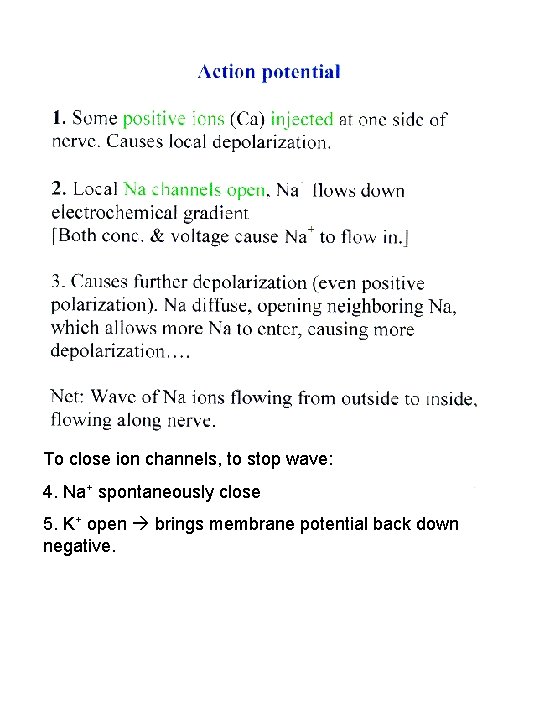 To close ion channels, to stop wave: 4. Na+ spontaneously close 5. K+ open