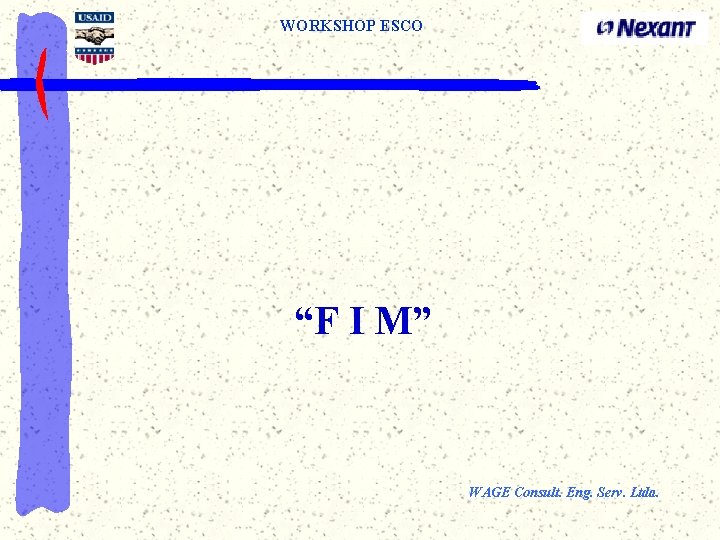 WORKSHOP ESCO “F I M” WAGE Consult. Eng. Serv. Ltda. 