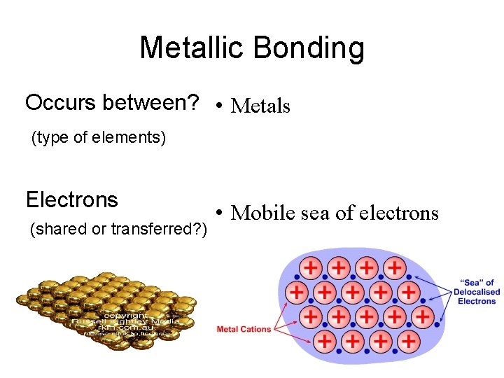 Metallic Bonding Occurs between? • Metals (type of elements) Electrons (shared or transferred? )