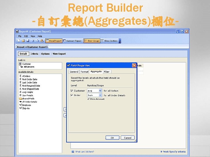Report Builder -自訂彙總(Aggregates)欄位- 