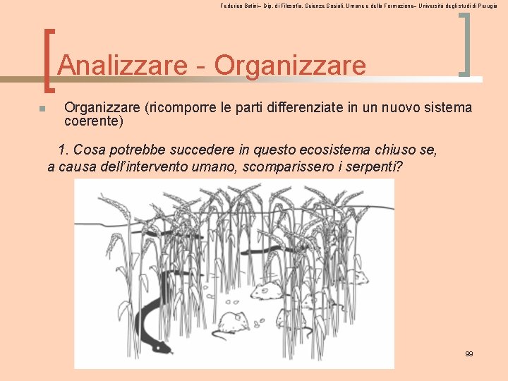 Federico Batini– Dip. di Filosofia, Scienze Sociali, Umane e della Formazione– Università degli studi