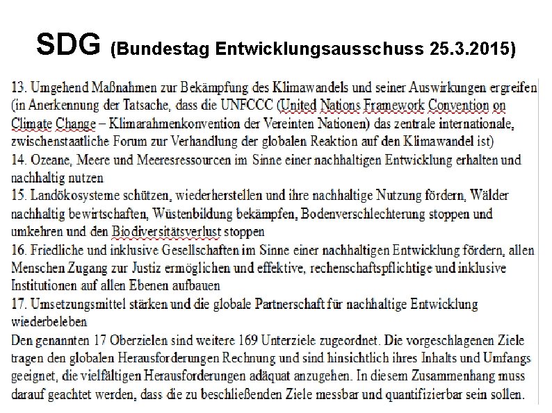 SDG (Bundestag Entwicklungsausschuss 25. 3. 2015) 