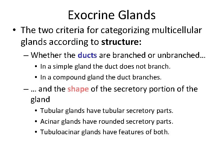 Exocrine Glands • The two criteria for categorizing multicellular glands according to structure: –