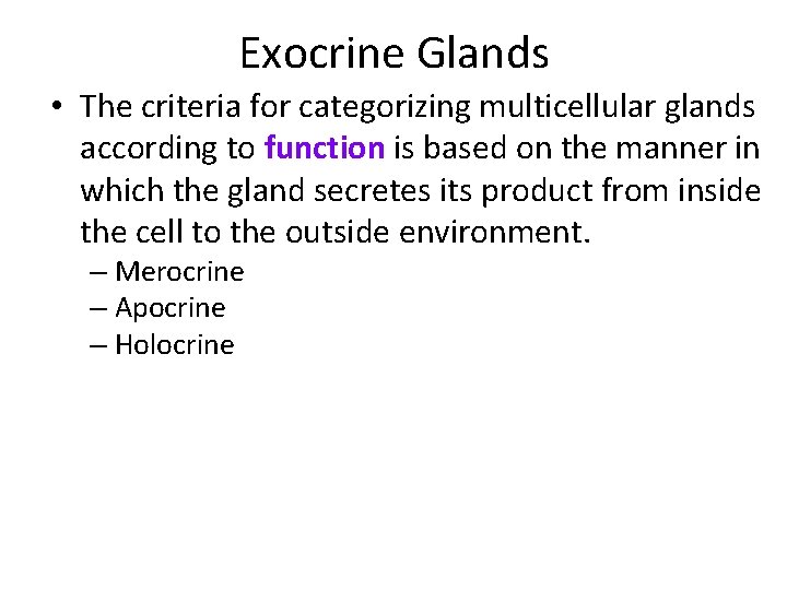 Exocrine Glands • The criteria for categorizing multicellular glands according to function is based