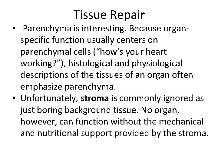 Tissue Repair • Parenchyma is interesting. Because organspecific function usually centers on parenchymal cells