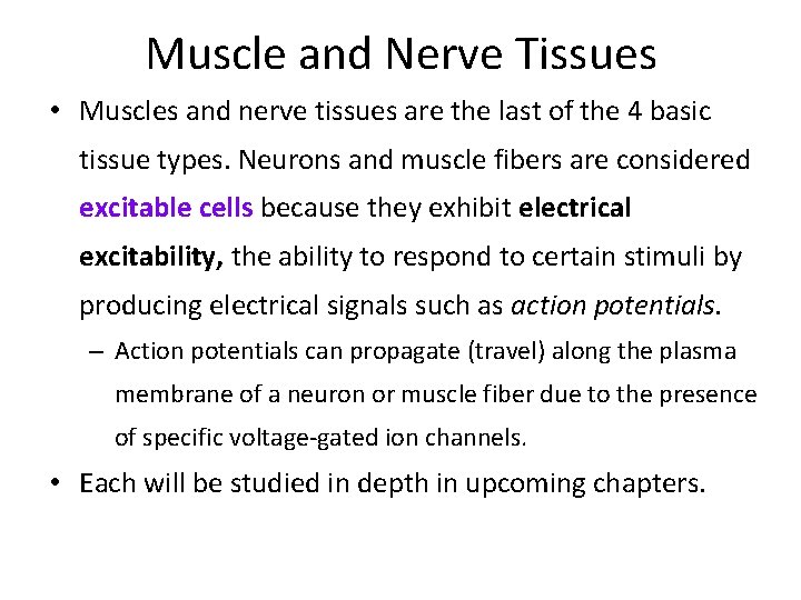 Muscle and Nerve Tissues • Muscles and nerve tissues are the last of the