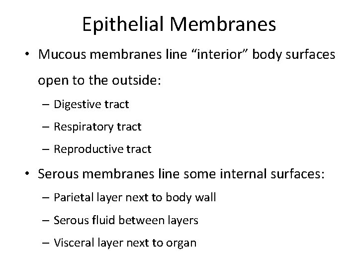 Epithelial Membranes • Mucous membranes line “interior” body surfaces open to the outside: –