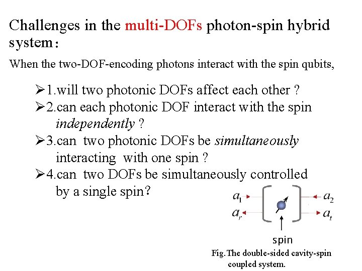 Challenges in the multi-DOFs photon-spin hybrid system： When the two-DOF-encoding photons interact with the