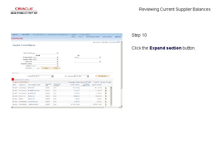 Reviewing Current Supplier Balances Step 10 Click the Expand section button. 