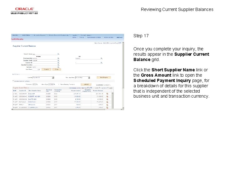 Reviewing Current Supplier Balances Step 17 Once you complete your inquiry, the results appear