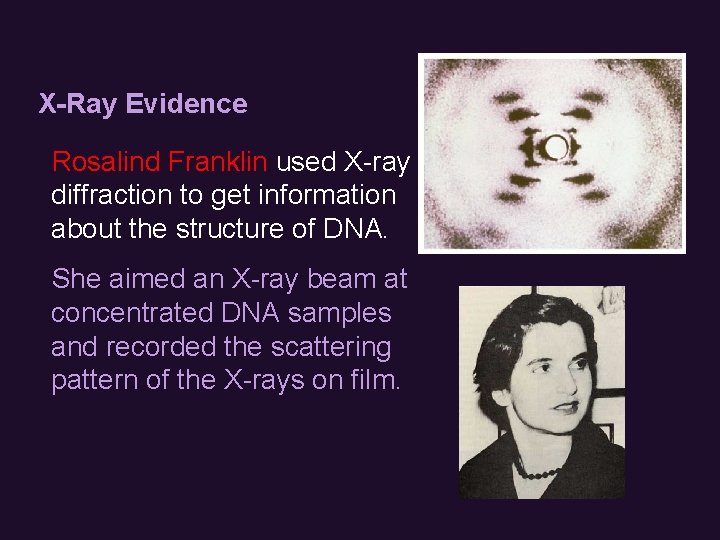 X-Ray Evidence Rosalind Franklin used X-ray diffraction to get information about the structure of