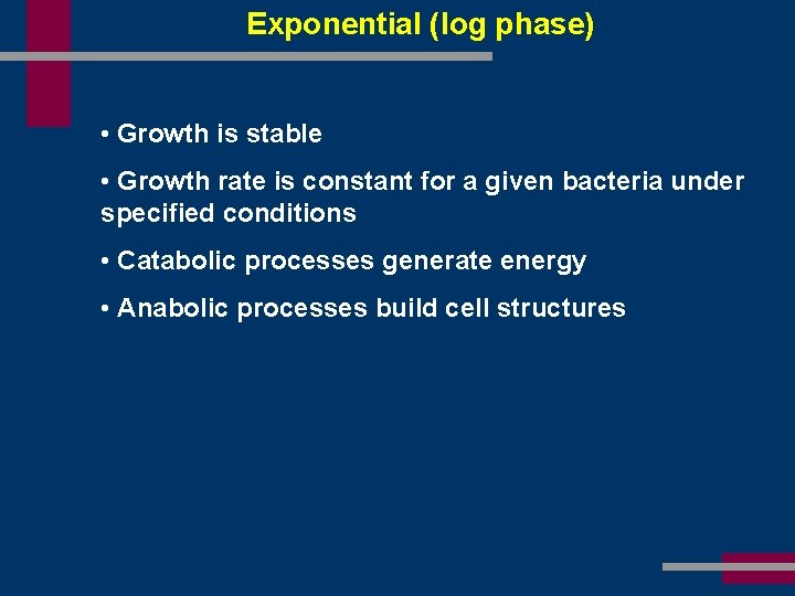 Exponential (log phase) • Growth is stable • Growth rate is constant for a