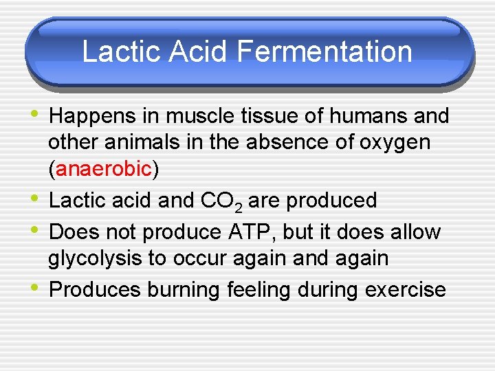 Lactic Acid Fermentation • Happens in muscle tissue of humans and • • •