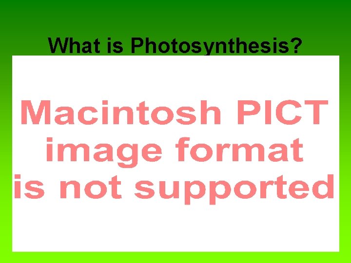 What is Photosynthesis? The process of using sunlight to convert CO 2 and water