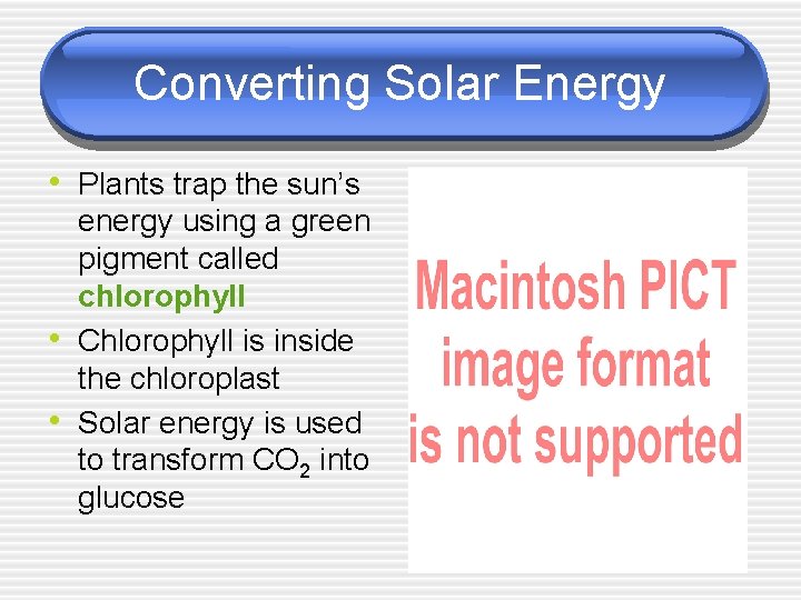 Converting Solar Energy • Plants trap the sun’s • • energy using a green