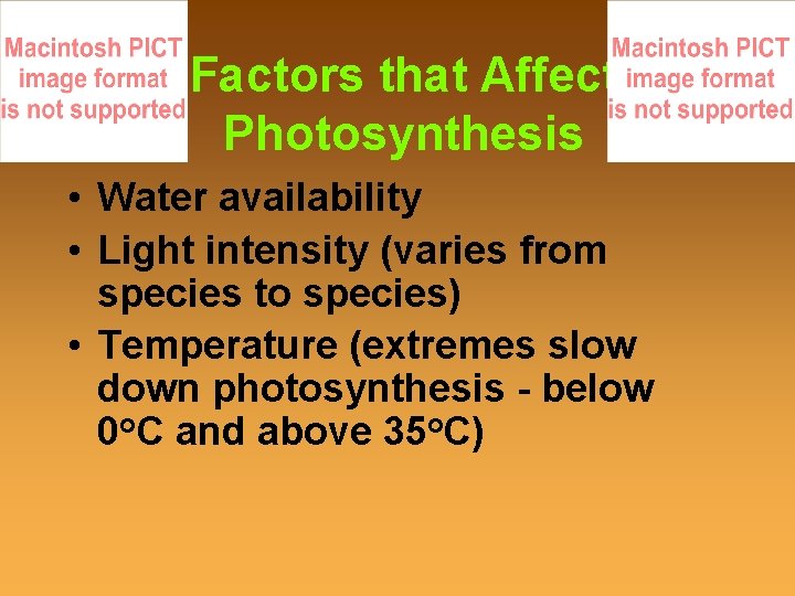 Factors that Affect Photosynthesis • Water availability • Light intensity (varies from species to