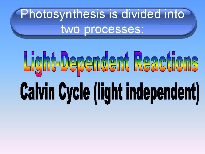 Photosynthesis is divided into two processes: 