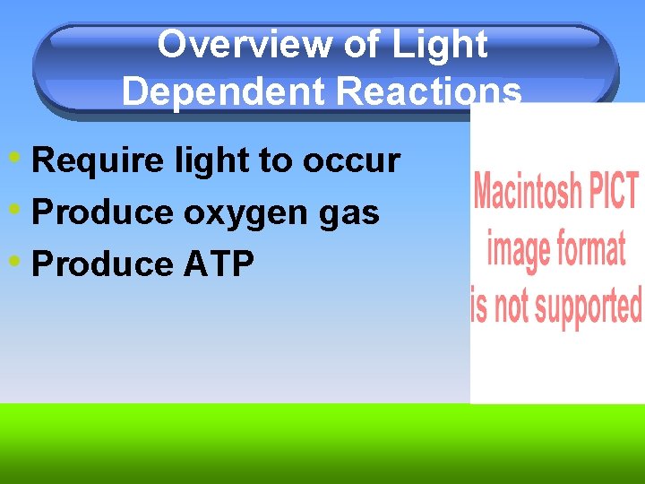 Overview of Light Dependent Reactions • Require light to occur • Produce oxygen gas