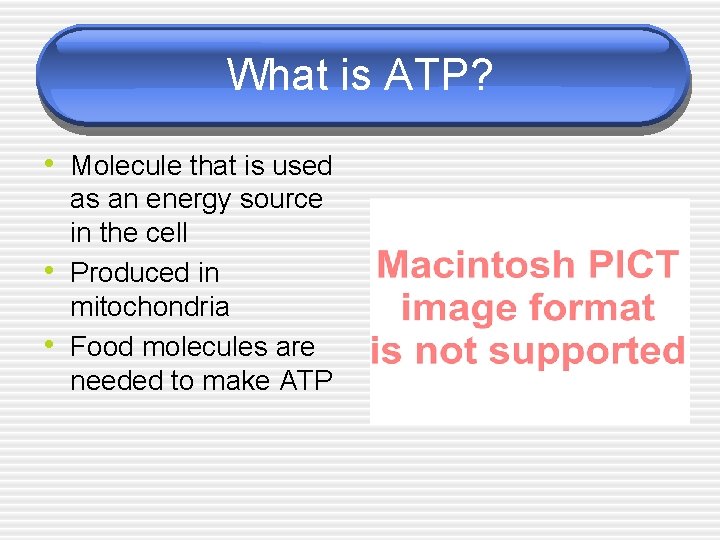 What is ATP? • Molecule that is used • • as an energy source