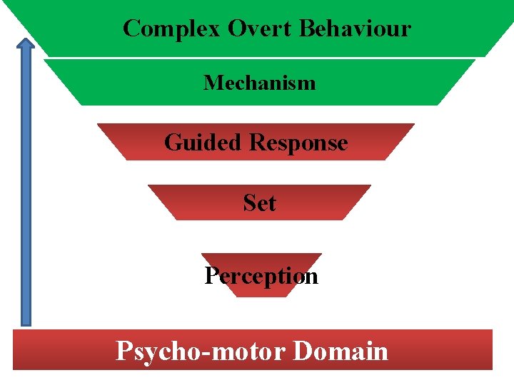 Complex Overt Behaviour Mechanism Guided Response Set Perception Psycho-motor Domain 