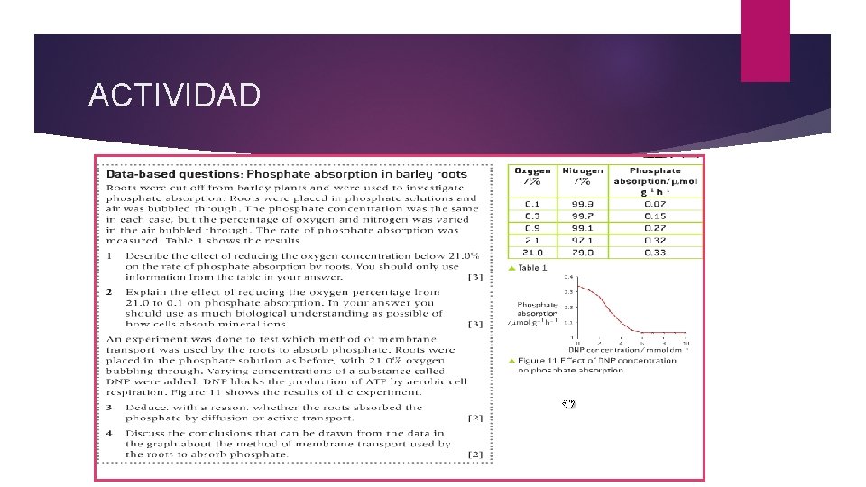 ACTIVIDAD 