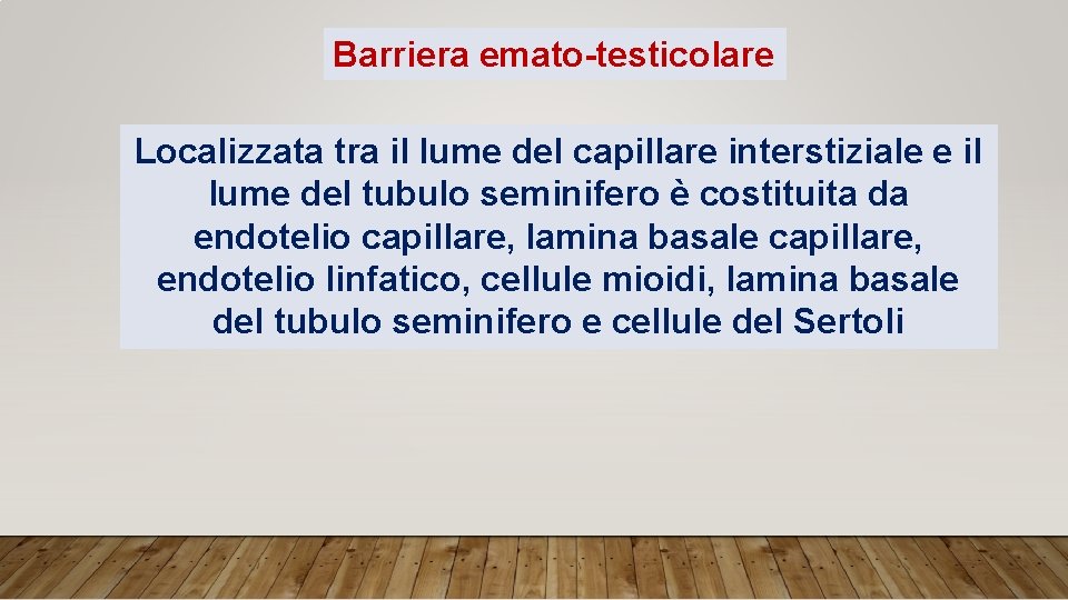Barriera emato-testicolare Localizzata tra il lume del capillare interstiziale e il lume del tubulo