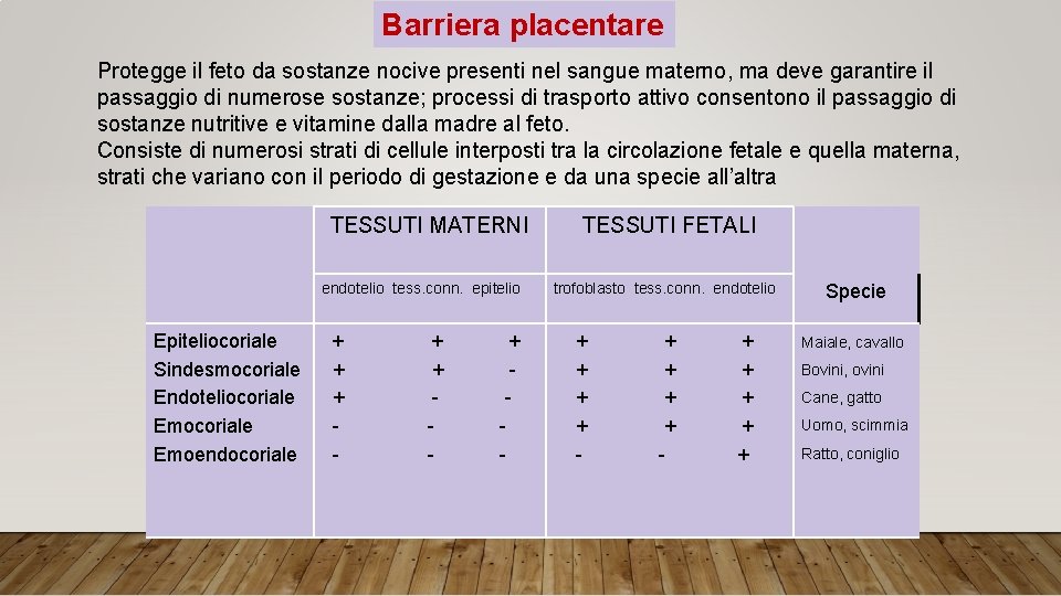 Barriera placentare Protegge il feto da sostanze nocive presenti nel sangue materno, ma deve