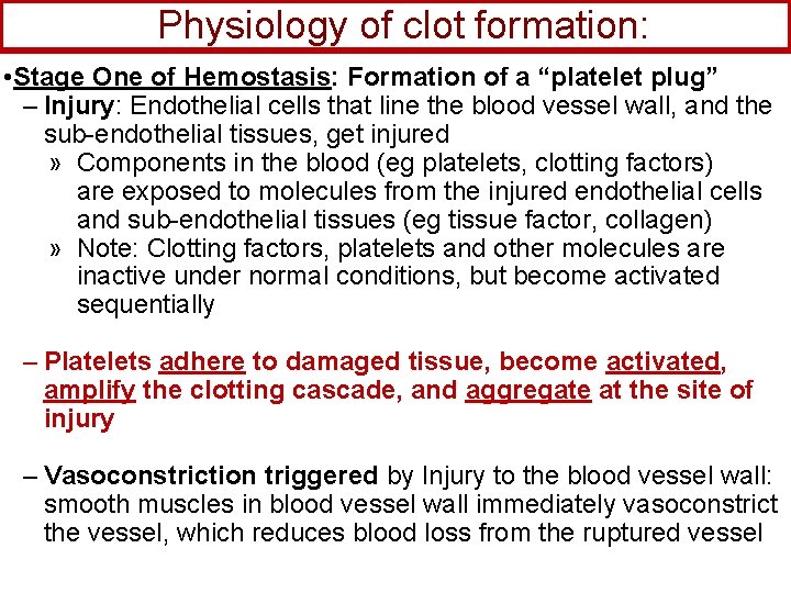 Physiology of clot formation: • Stage One of Hemostasis: Formation of a “platelet plug”