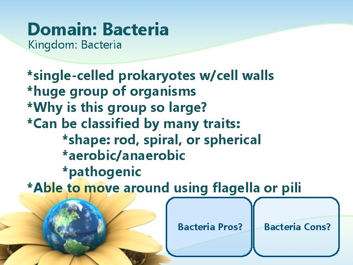 Domain: Bacteria Kingdom: Bacteria *single-celled prokaryotes w/cell walls *huge group of organisms *Why is