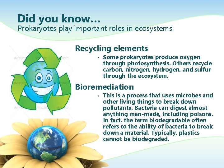 Did you know… Prokaryotes play important roles in ecosystems. Recycling elements • Some prokaryotes