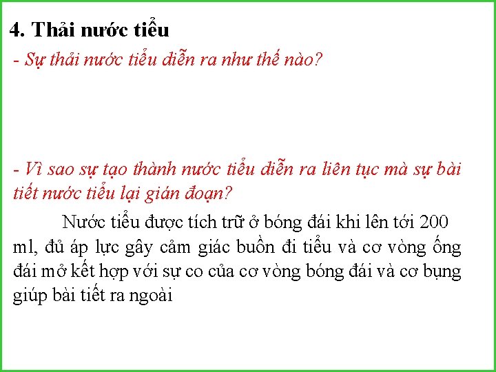 4. Thải nước tiểu - Sự thải nước tiểu diễn ra như thế nào?