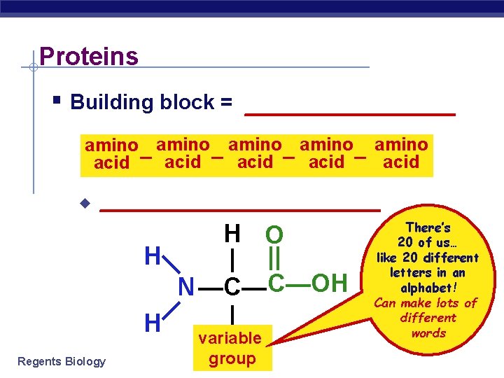 Proteins § Building block = _________ amino amino acid – acid u ____________ H
