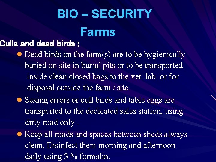 BIO – SECURITY Farms Culls and dead birds : l Dead birds on the