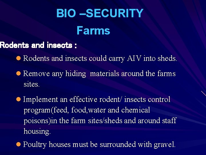 BIO –SECURITY Farms Rodents and insects : l Rodents and insects could carry AIV